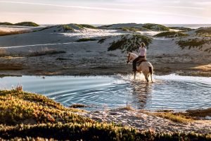 Horseback riding and hiking - Shoot 1